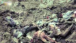 Видеоблог Видеоблог