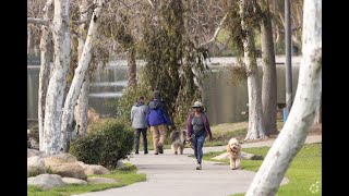 Living in Ladera Heights, CA: The Ultimate Local Guide | Homes.com