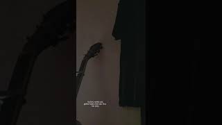 Story Wa Sad Terbaru 2021  Song  Janji Putih  Beta Janji Beta Jaga Ale Untuk Selamanya 