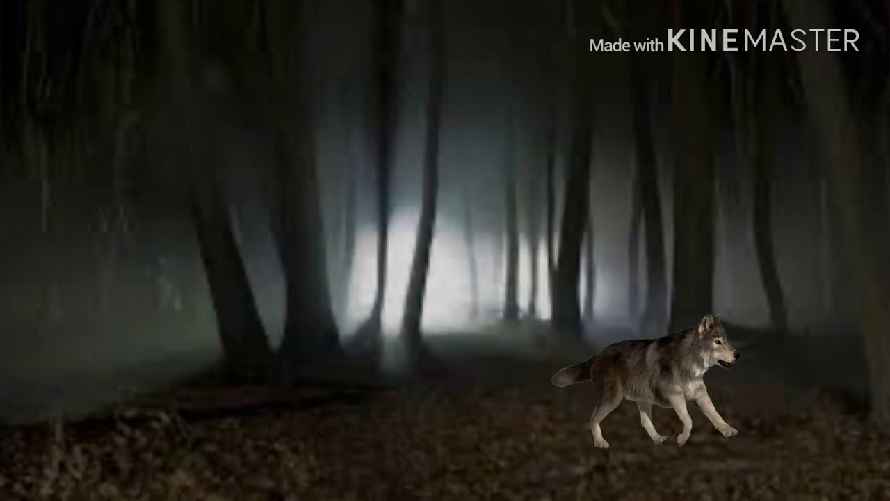 Lisa Knapp A Promise That I Keep