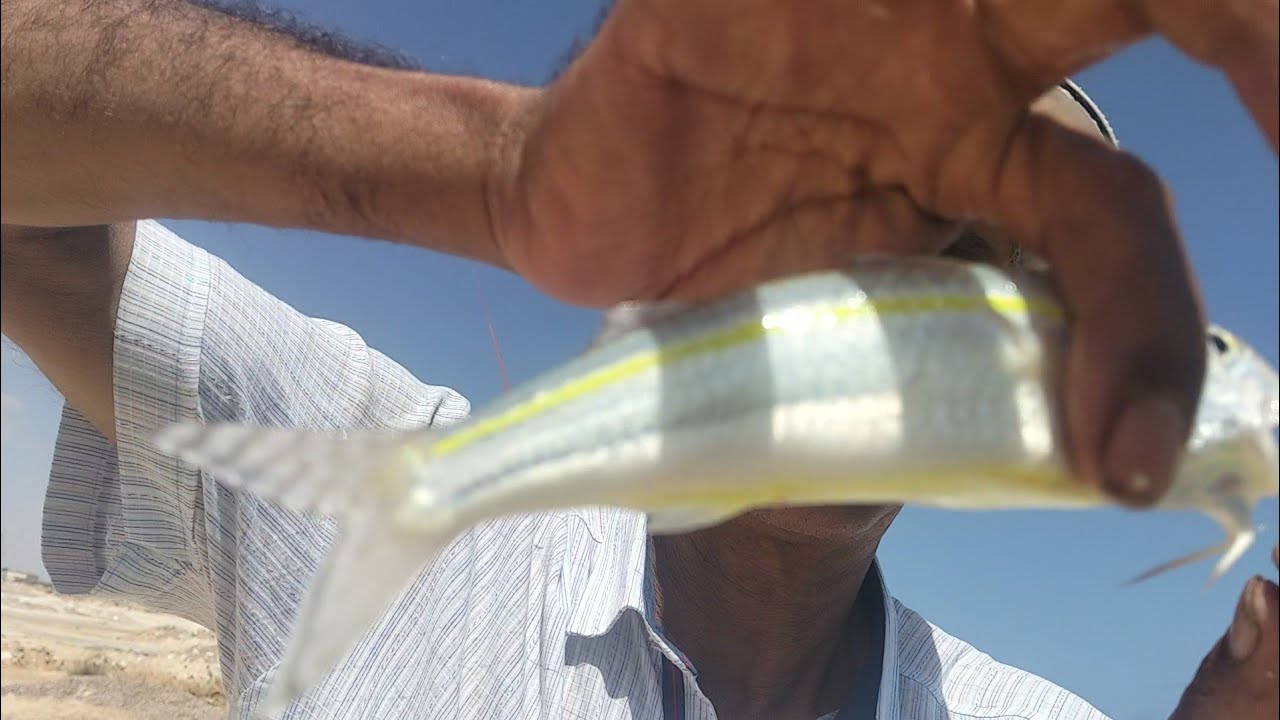 صيد السمك #اكتشاف انواع طعوم جديده #شوف #وقولنا ايه رايك #fishing #