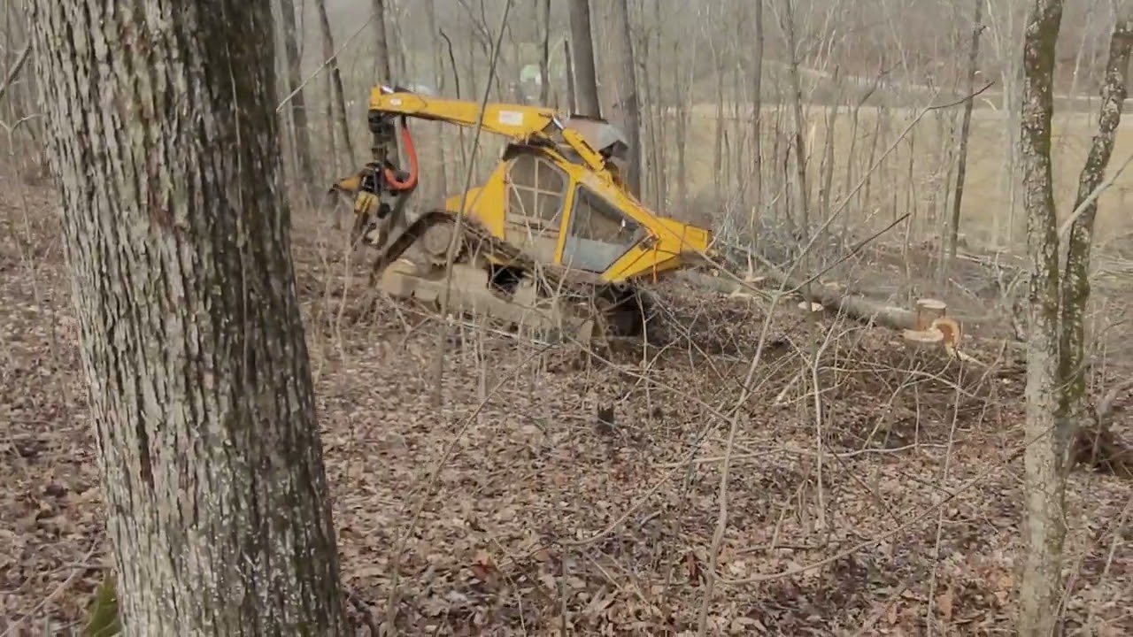 bell cutting & topping hardwood timber