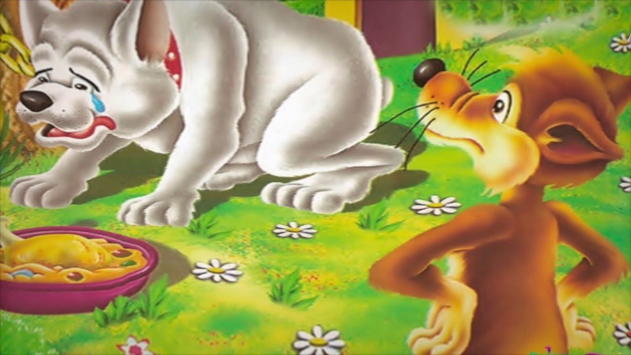 CUENTO: EL LOBO Y EL PERRO DORMIDO - YouTube