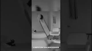 Cat Destroying The Bedroom Cats Are Jerks Ahnuld Schwarzenegger Funny Animals