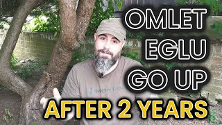 Omlet Eglu Go Up Review - After 2 Years of Ownership