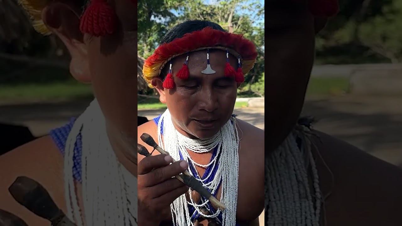 Venezuela's Amazing Amazon - Roast tarantulas, psychoactive plants and sacred mountains