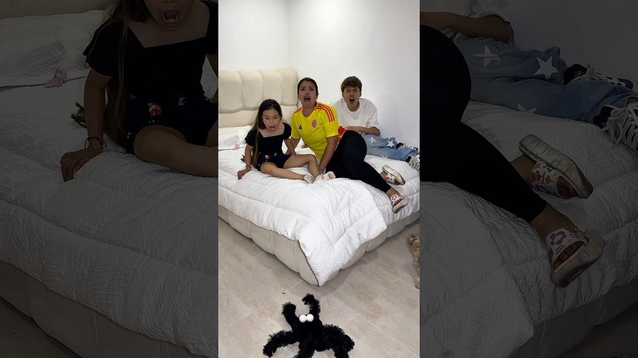UNA ARAÑA MUY GRANDE #humor #familiaibañez #funny #comedia #divertido #shortvideo #shorts #fyp