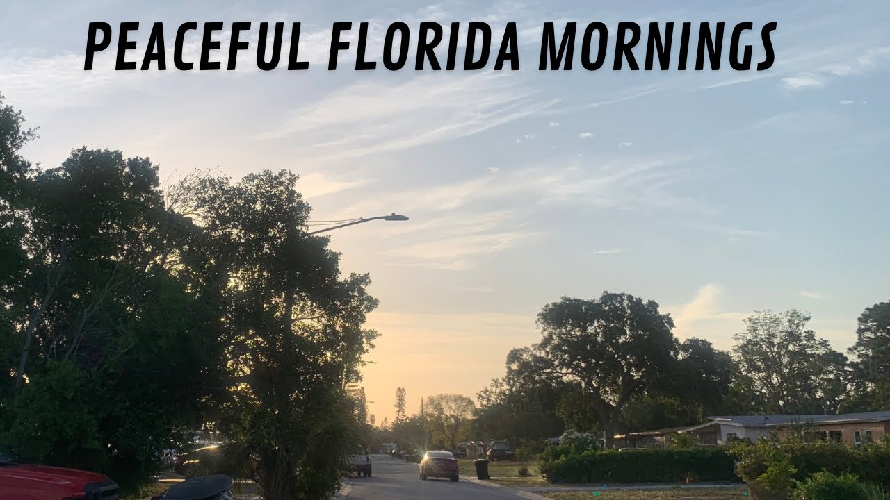 FLORIDA MORNING OF PEACE|SUNRISE ~NATURE SOUNDS - YouTube