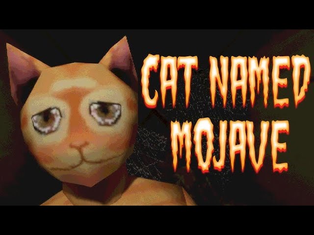 Asus ROG Ally X & Z1 Extreme Cat Named Mojave - YouTube
