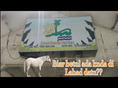 vlog14- Borneo Paradise Eco Farm Lahad datu(part 1) hqdefault