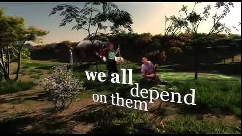 International Year of Forests 2011   HD