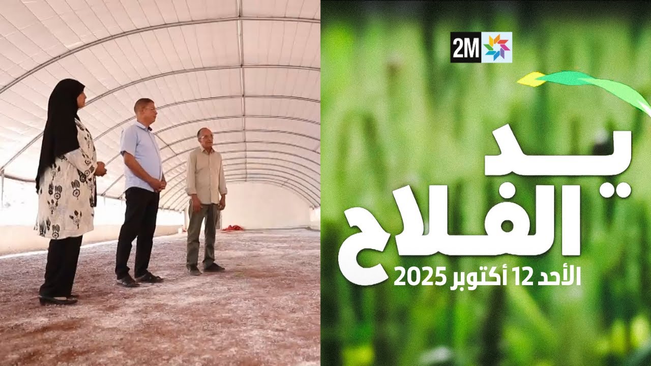 يد الفلاح : الأحد 12 أكتوبر 2025