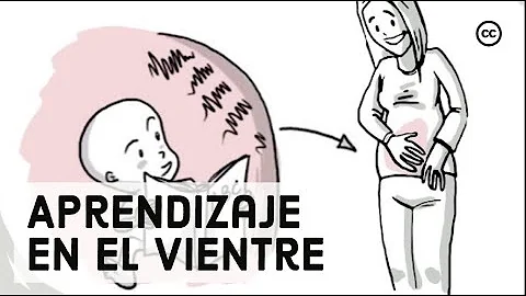 ¿Qué sabe un bebé en el vientre materno?