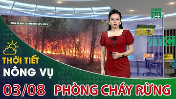 Thời tiết nông vụ 03/08/2021: Miền Trung nắng nóng diện rộng, phòng cháy rừng| VTC14