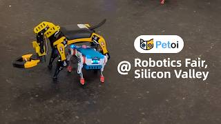 Quaddle's First Field Test — Robot Dog Learning from Kids | Robotics Fair Recap