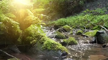 تلاوة خاشعة الطفل الإندونيسي عمر الفاروق