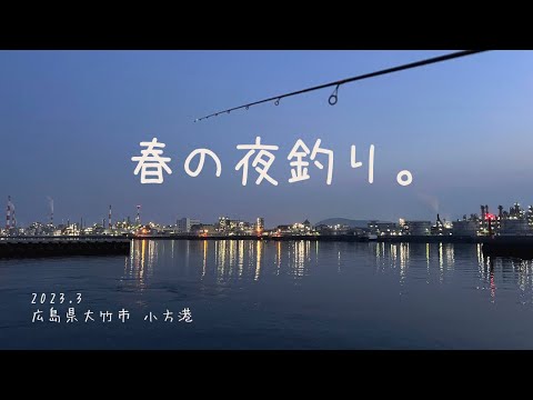 春の夜釣り。2023.3 【広島釣り】