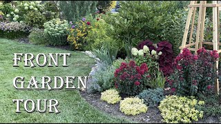 Front Garden Tour in August | DAHLIAS! Blue Cardinal Flower, Eucalyptus and Four O’clocks