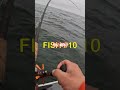 coho rodeo #fishing #fish #fishinglife #pnwfishing #cohorodeo