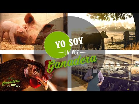 #YOSOYLAVOZGANADERA, una iniciativa en apoyo al sector ganadero  💪🏻