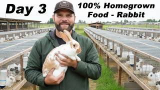 Download Lagu Konijnen fokken voor vlees - 100% zelfgekweekte voedseluitdaging, dag 2. - Zelfredzaamheid - Shaw... MP3