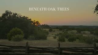 Dylan Gossett  Beneath Oak Trees
