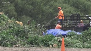 San Antonio to recycle 1,500 tons of storm debris as free mulch for residents