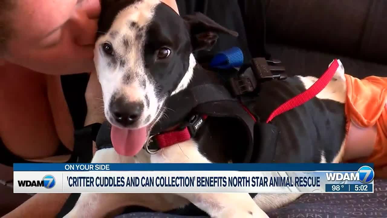 Southern Miss students host 'Critter Cuddles & Cans Collection' supporting animal rescue
