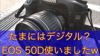 ✨サクサク撮れる✨CANON EOS 50D✨キヤノン✨一眼レフ✨キヤノン✨ EOS 50Dと紡ぐ幻想的な物語 - 魅惑の中望遠