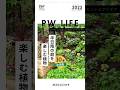 #半日陰の庭 を楽しむ植物