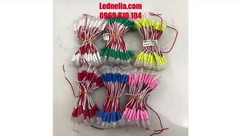 LED LIỀN DÂY 5MM | LED NELIA