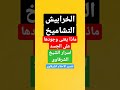 الخرابيش والتشاميخ علي الجسد كارثة عظيمة لايعرفهاالرقاةالمعالجين بالرقية ولا المرضى