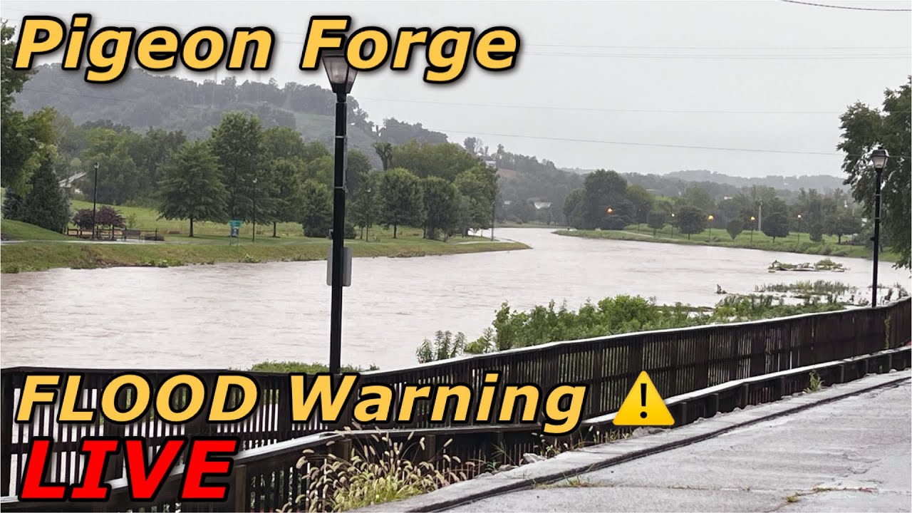 Pigeon Gatlinburg, heavy rains and flooding LIVE 🌄 Smoky Mountains Tennessee YouTube