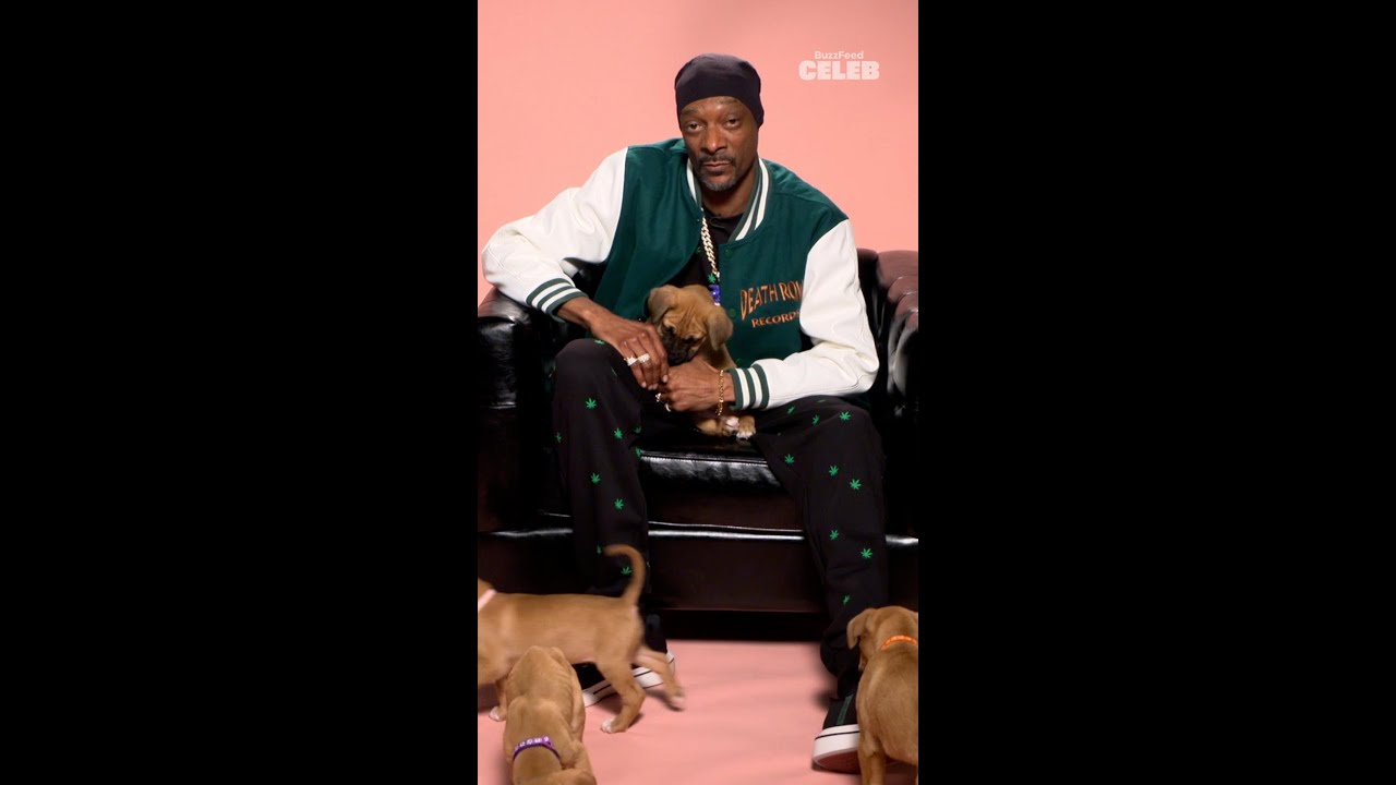 The biggest dog Snoop Dogg plays with baby dogs. 🥹 | Snoop Dogg with Puppies