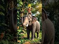 Ticket to hamne bhi nahi liya #funny#ai#shorts#reel#viral #funny #trending #jokes