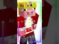 my type minecraft character