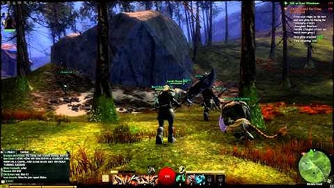 Guild Wars 2 End of Beta Event