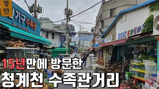 어릴적 자주가던 청계천 수족관 거리, 현재는 어떨까?