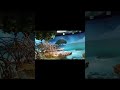 New England Aquarium Boston Massachusetts #bostonattractions #acquarium #bostonblogger #trendingnow