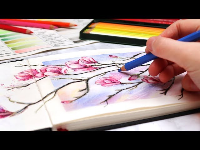 How to Use Watercolor Pencils - Techniques and Demonstration 