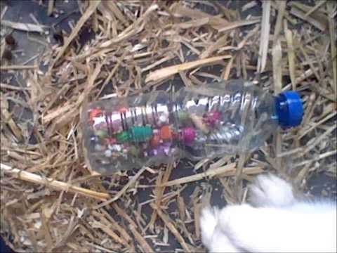 lapin : presentation de la cage de mon lapin