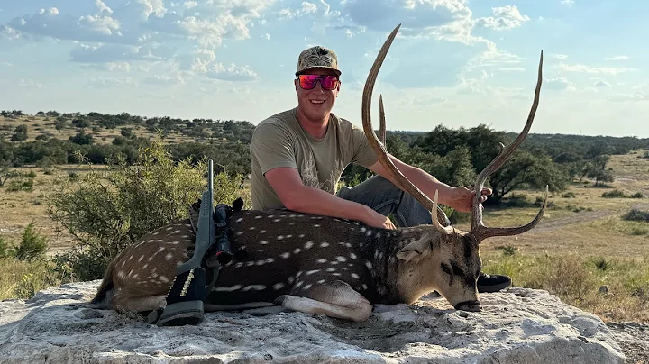 Texas  Hill Country Axis Buck