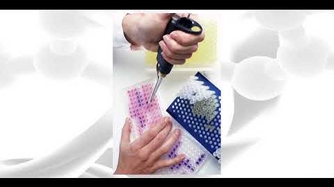 01-Explore PilotScript