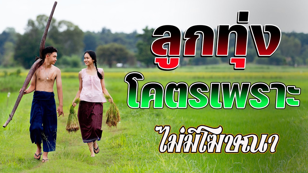 ลูกทุ่งรวมเพลงเพราะมาก : รวมเพลง ลูกทุ่งฮิตที่สุด เสียงดีมาก ฟังต่อเนื่อง #เพลงลูกทุ่งมาแรง