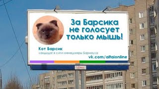 Кот Барсик может стать мэром Барнаула Кот Барсик может стать мэром Барнаула