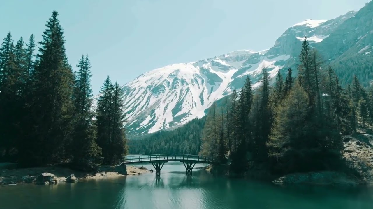 Heart Healing Sound Bowl Meditation | 10-Minute Relaxation & Nature Visuals