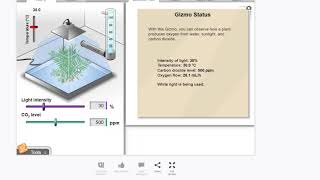 Photosynthesis Lab Gizmo Activity