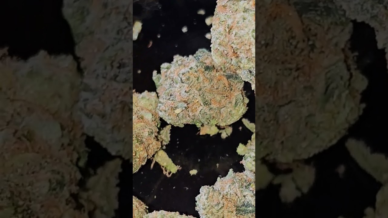 DOE BRITZ T27 DANKOFENGLAND 💯🫶🙏🍁💪