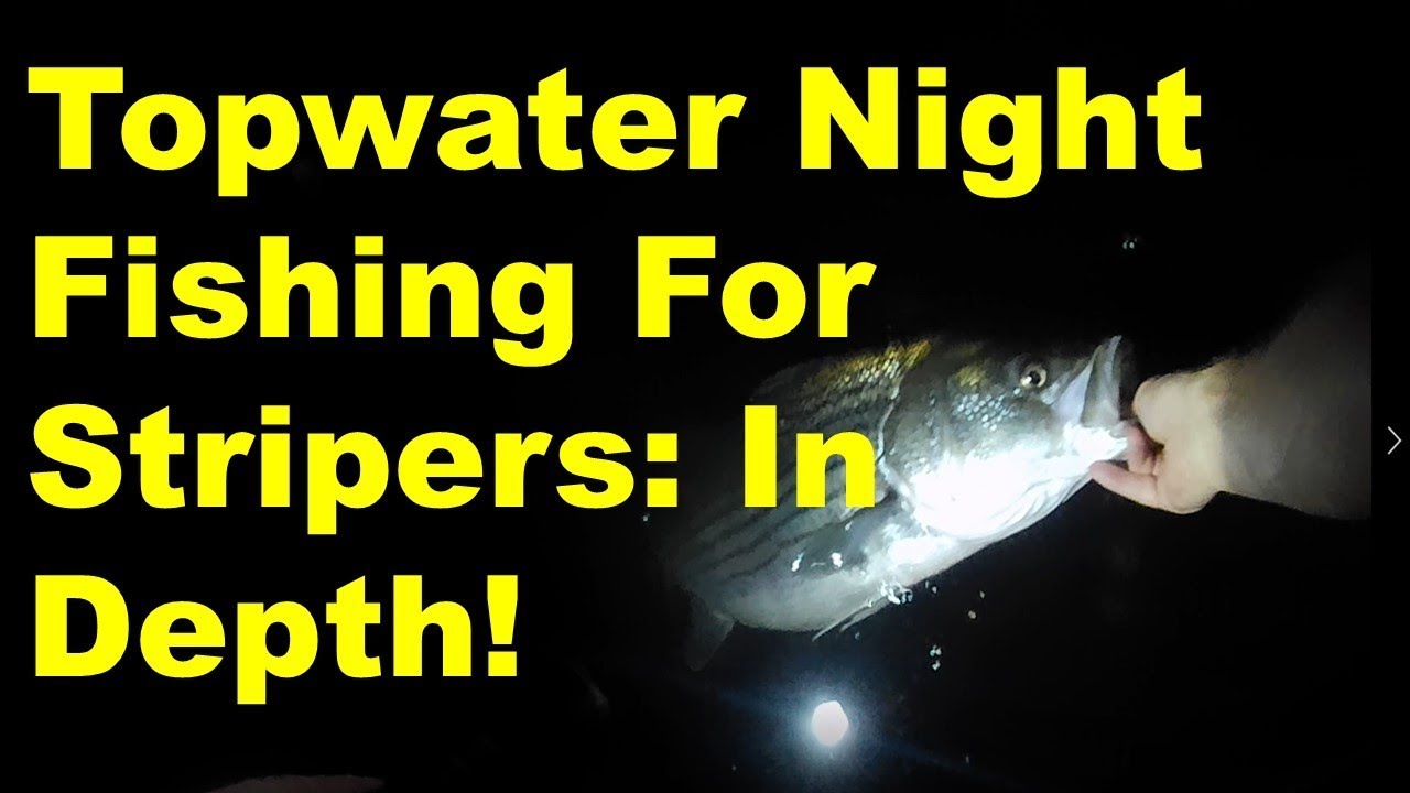 Fishing Topwaters for Night Time Stripers YouTube