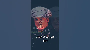 ريمكس قلبي إلي بلد الحبيب يهيم 